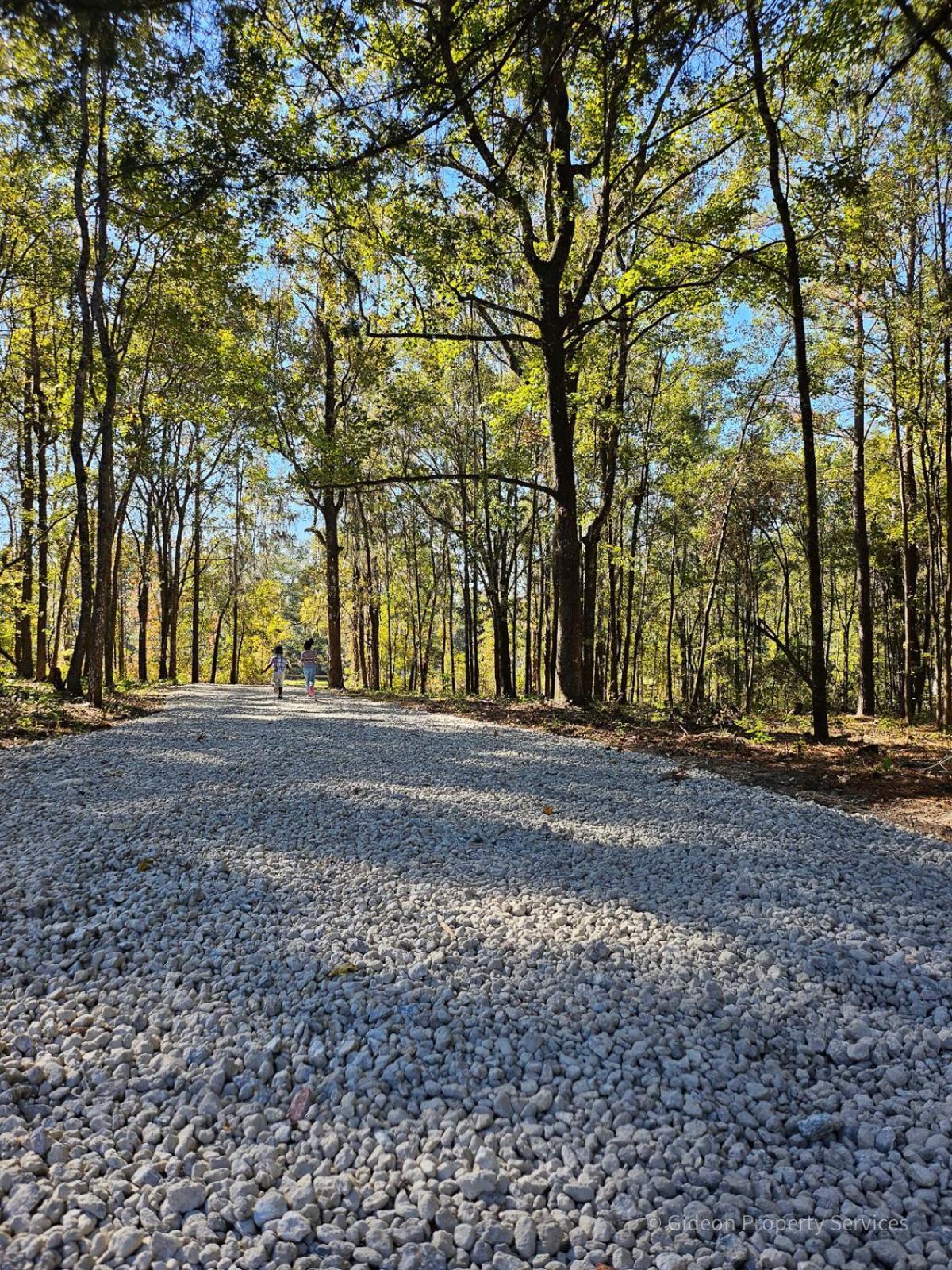 3/2 Uf Wooded Paradise Retreat Gainesville Bagian luar foto